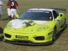 NextGen ScrollGallery thumbnail